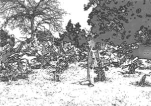 Image of Gambia